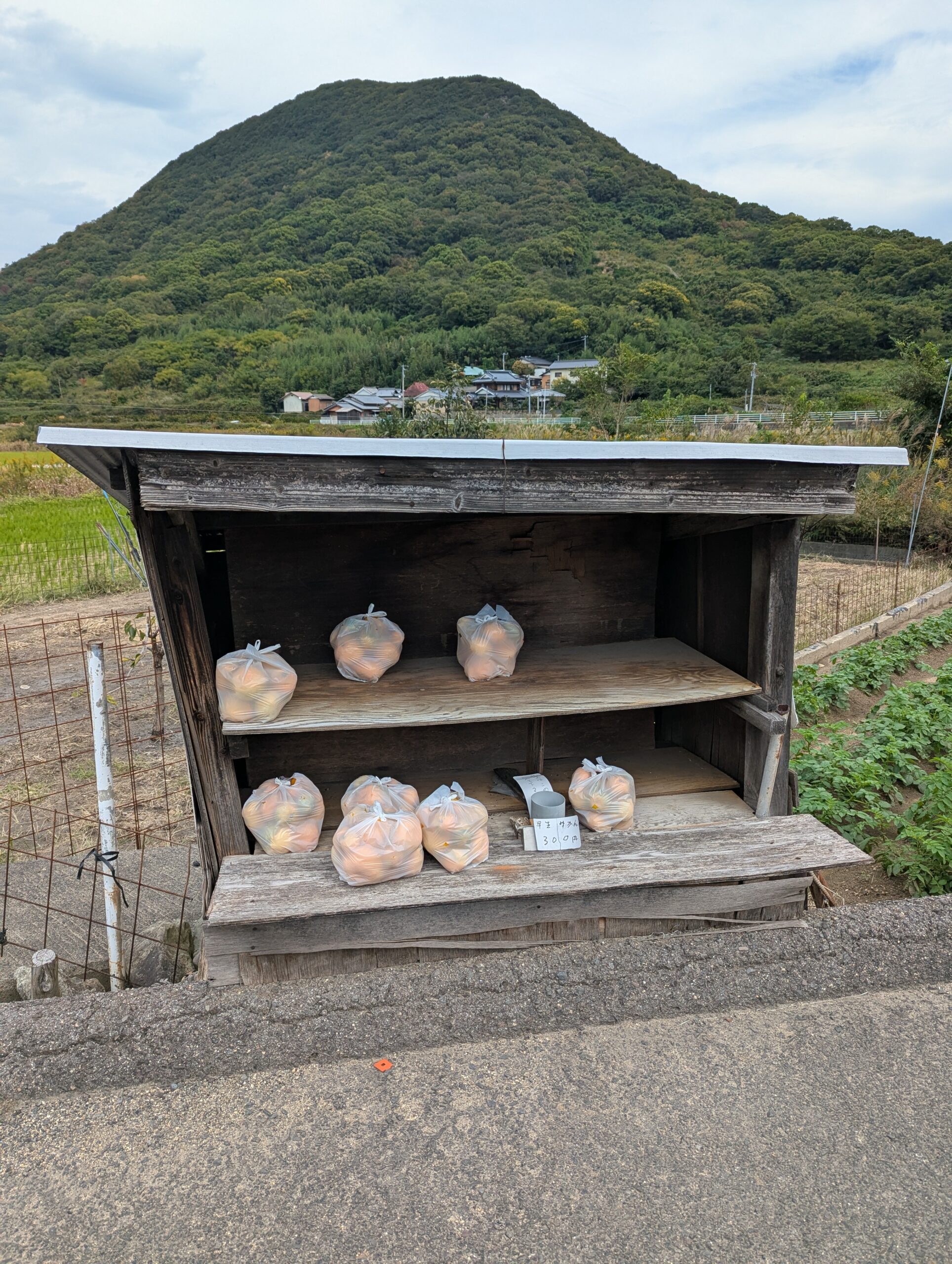 みかん無人販売