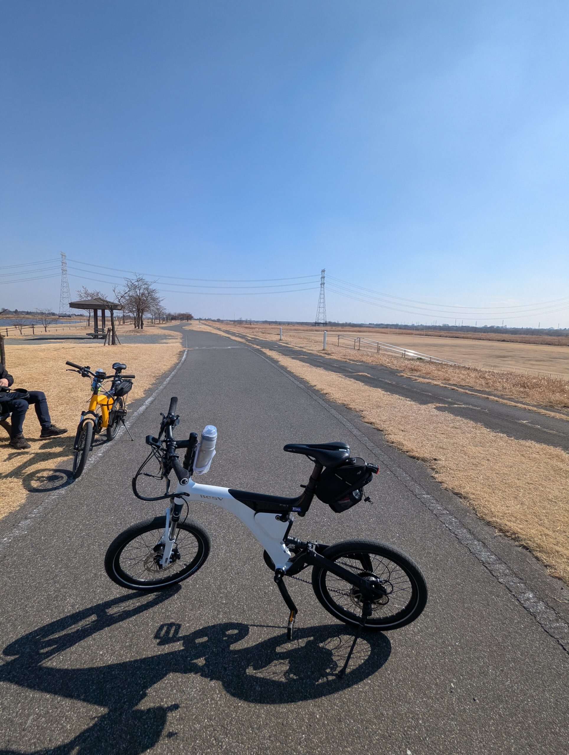 利根川水辺プラザ公園 河津桜の広場