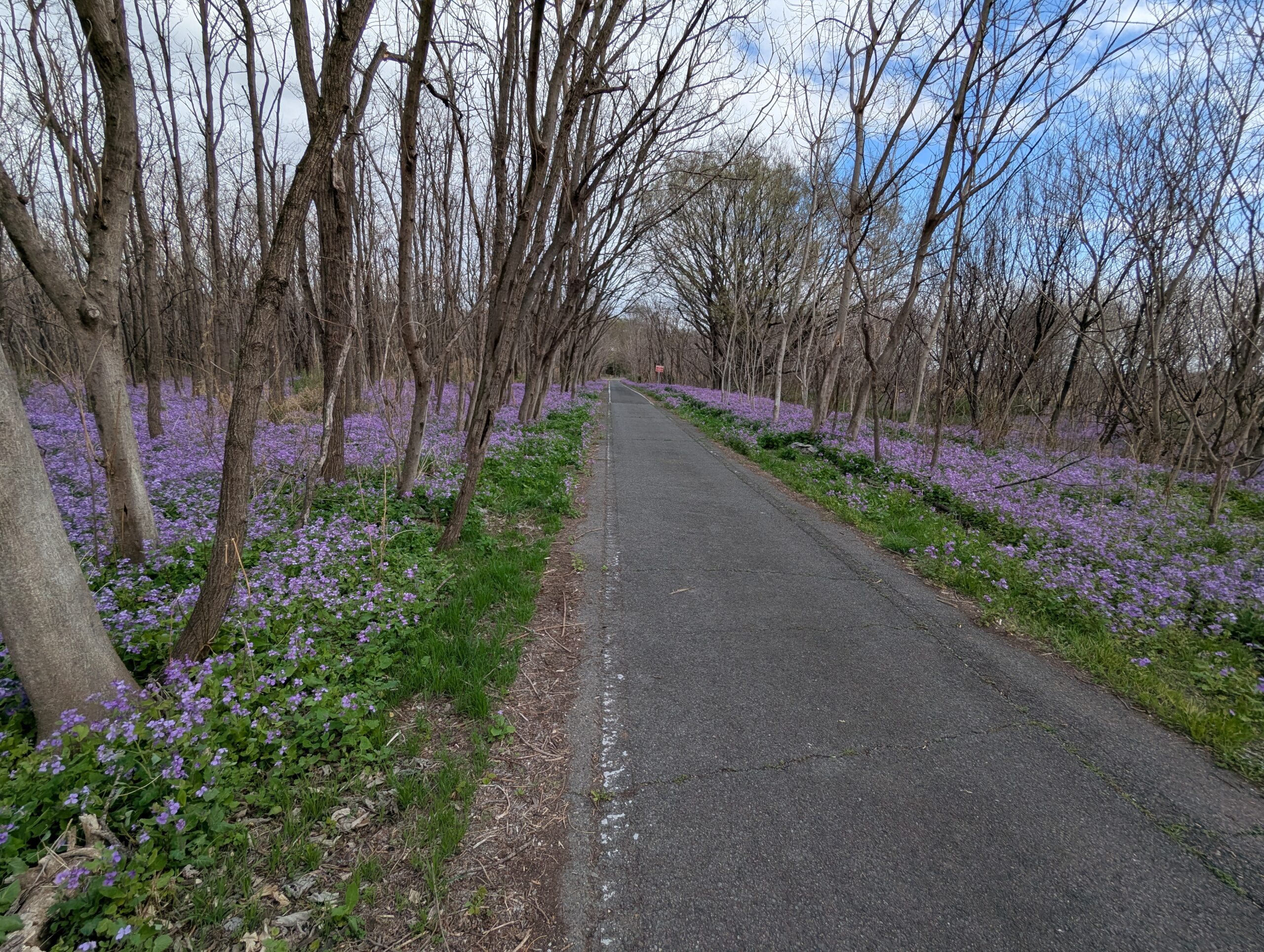 新玉村ゴルフ場付近